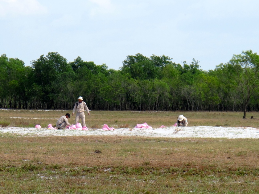Finally, the EOD team lays down the explosives that will destroy the ordnance. (Photo by Nissa Rhee, June 2014)